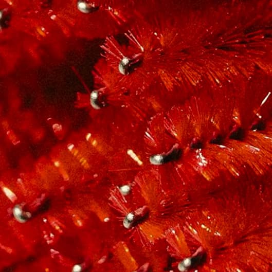 VIP Lash Package 🩷 at Smokin’ Mirrors in Enid, OK